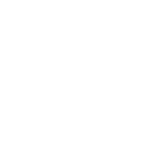 Trendy Style Importados